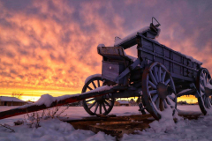 cart_buggy_wagon_wheel_CJ_texas